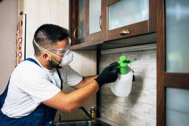 Pest Prevention Services in Grove City, PA